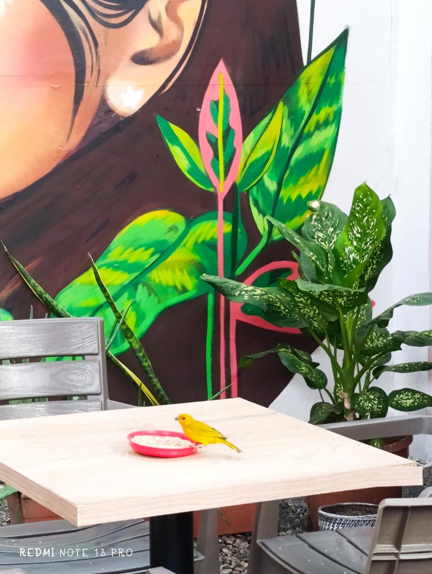 Hospedaje Casa Cultural Saberes Neiva  Dış mekan fotoğraf